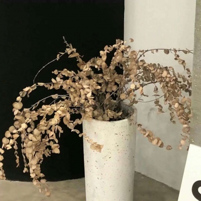 兽设角色性格塑造福瑞群